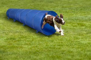 Maxxpro Dog Agility Tunnel – 2m Long with 6 Pegs for Secure Ground Attachment (EDC)