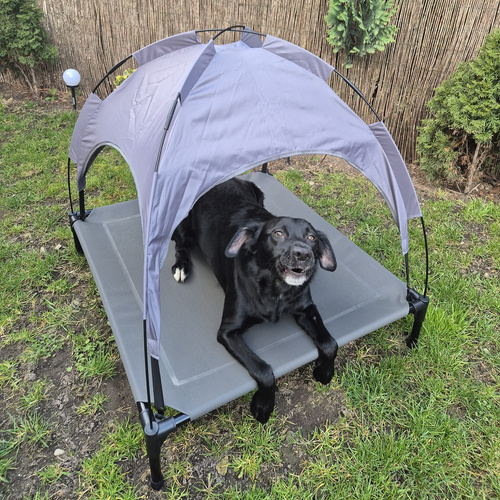PURLOV XXL Covered Raised Dog Bed - Waterproof, UV-Resistant Canopy (WNDR25428) - Image 3