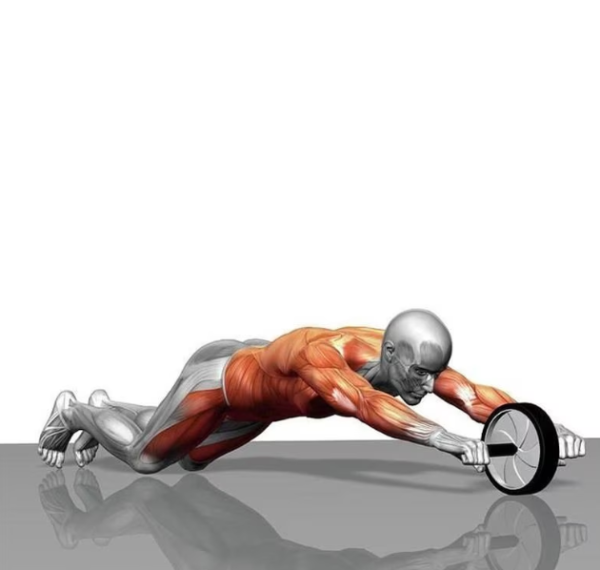 Abdominal exercise wheel – 15 cm diameter, non-slip handles, with knee pad (WNDR4567) - Image 2
