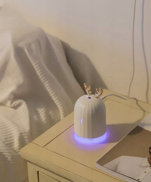 RGB aromatherapy 220ml humidifier diffuser – USB rechargeable with ambient LED lighting (WNDR16365) - Image 6
