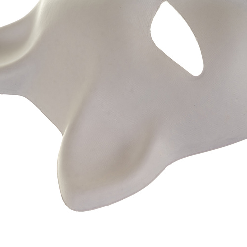 RUHHY Cat Face Mask Set – 10 White DIY Paintable Masks with Elastic Bands (WNDR26000) - Image 13