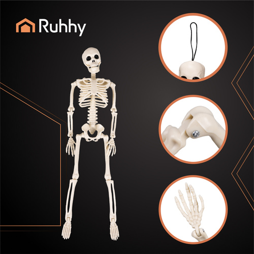 Skeleton Decoration 40 cm RUHHY – Realistic Hanging Halloween Prop (WNDR26027) - Image 4