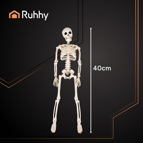 Skeleton Decoration 40 cm RUHHY – Realistic Hanging Halloween Prop (WNDR26027) - Image 5